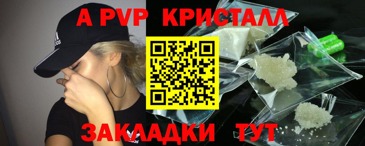 Альфа ПВП СК Сокол