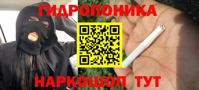 spice Обнинск