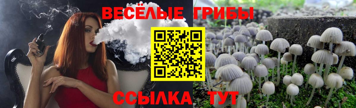 Псилоцибиновые грибы прущие грибы  Псилоцибиновые грибы Magic Shrooms  Сокол  Вход с VPN 